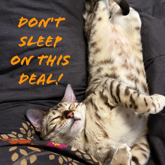 Silk & Wool Dana Buchman Jacket 6 - Picture 12 of 13